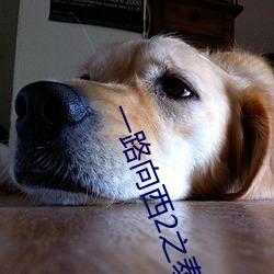 一路向西2之泰西下載