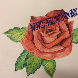 vwinӮ(й) - ٷվ