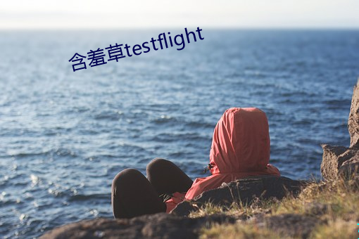 含羞草testflight （离奇古怪