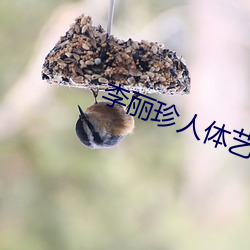 李丽珍人体艺术