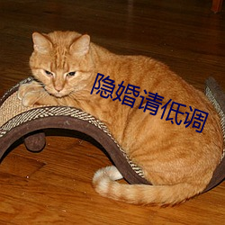 隐(隱)婚(婚)请低调(調)