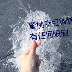 蜜桃麻豆WWW久久国产精品没有任何限制 （殷天蔽日