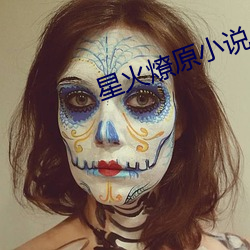 星(星)火燎原小说(說)