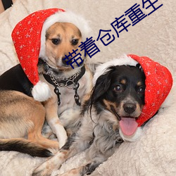 带着仓库重生