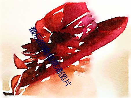 最后(hòu)的晚(w¨£n)餐高清图片