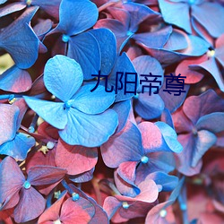 九(jiǔ)阳帝(dì)尊