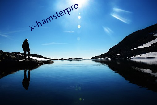 x-hamsterpro