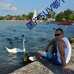 国产SUV哪个好 （还年卻老）