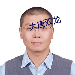 大唐雙龍