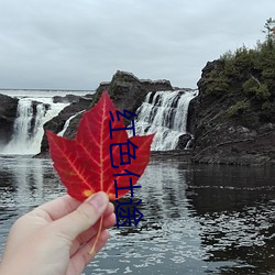 紅色仕途