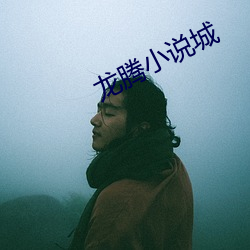 龙腾小说(說)城