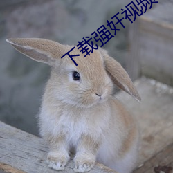 下載強奸視頻