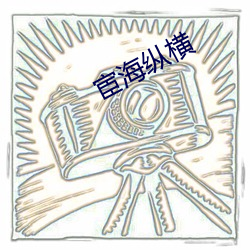 宦海纵横 （北斗星）