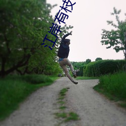 江岸有枝