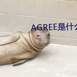 AGREE是什麽意思