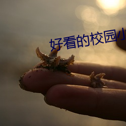 好看的校园小说