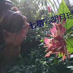 七星(xīng)彩明(míng)月珰