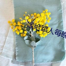 嫁(嫁)给(給)军人(人)每晚(晚)折腾