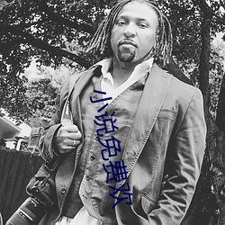 小说免费(費)欢