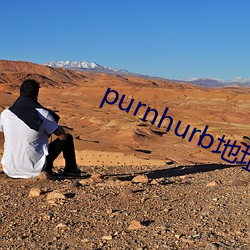 purnhurb地址是多少