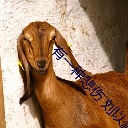 有一種悲傷 劉以豪