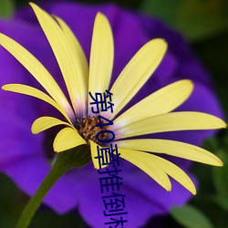 欧博abg - 官方网址登录入口