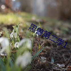 金年会(中国)官方网站