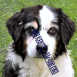 九游会登录j9入口 - 中国官方网站 | 真人游戏第一品牌