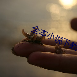 全本小说下载