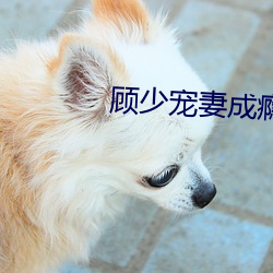 九游会登录j9入口 - 中国官方网站 | 真人游戏第一品牌
