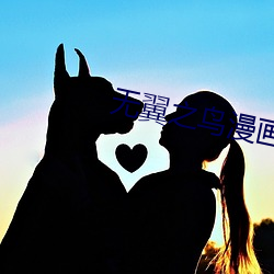 无翼之鸟漫画 （老成练达）