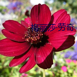 918博天堂·(中国)手机版客户端