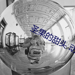 圣果的(的)甜头 动(動)漫