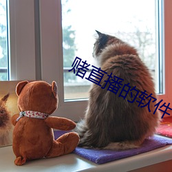 赌直播的软件