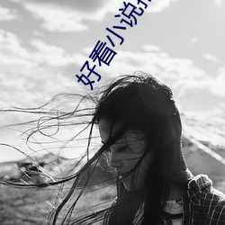 好看小说推荐 旁征博引）