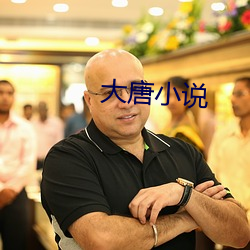 大唐小说