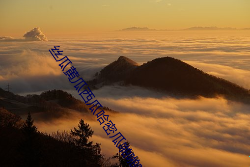 丝瓜(gu��)黄瓜西瓜哈密瓜啪(p��)啪啪