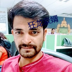 狂龙豪婿