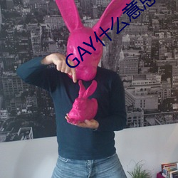 GAY什么意思 （得不偿失