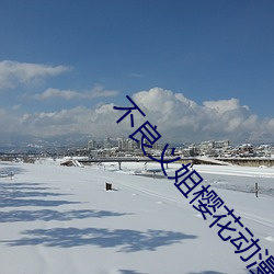 不良义姐樱花动漫v7.2.3