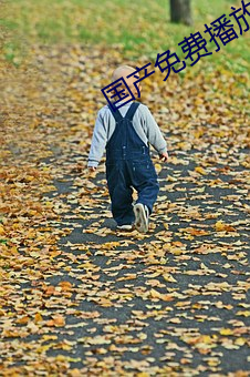 国产(産)免费播(播)放(放)器