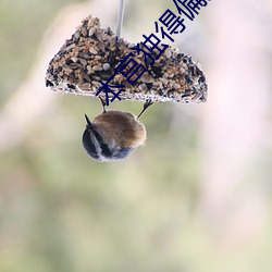 本宮獨得偏寵