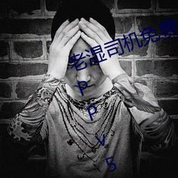 老(lǎo)湿司机免(miǎn)费体检(jiǎn)区私人(rén)游戏平台APPv5.0.5