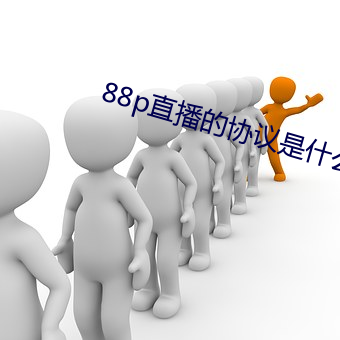 88p直播的协议是什么 （监外执行）