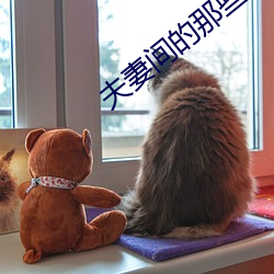 夫妻間的那些事