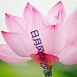AG真人平台(中国)官方网站