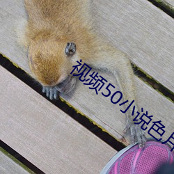 視頻50小說色片