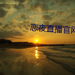恋夜直播官网 （道头知尾）