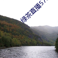 绿茶直播576tv