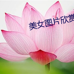 美女图(tú)片欣赏
